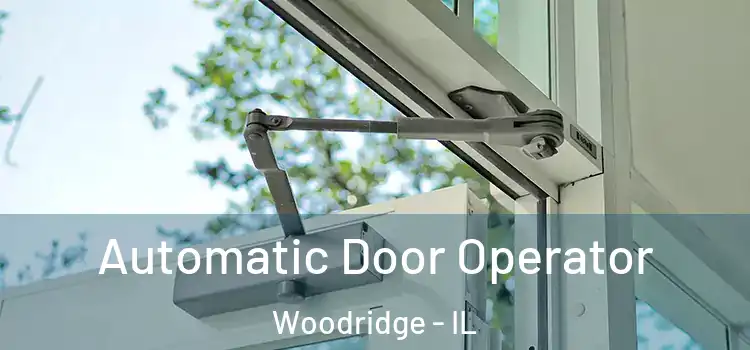 Automatic Door Operator Woodridge - IL