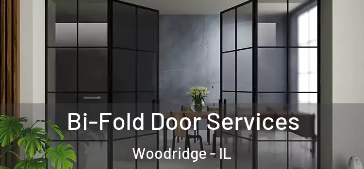 Bi-Fold Door Services Woodridge - IL