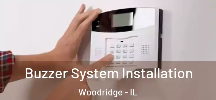 Buzzer System Installation Woodridge - IL