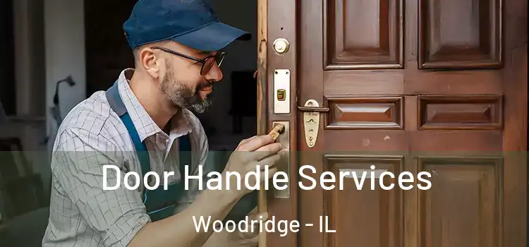 Door Handle Services Woodridge - IL