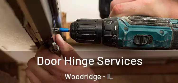  Door Hinge Services Woodridge - IL