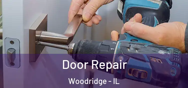  Door Repair Woodridge - IL
