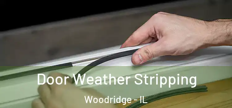  Door Weather Stripping Woodridge - IL