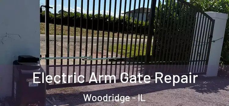  Electric Arm Gate Repair Woodridge - IL