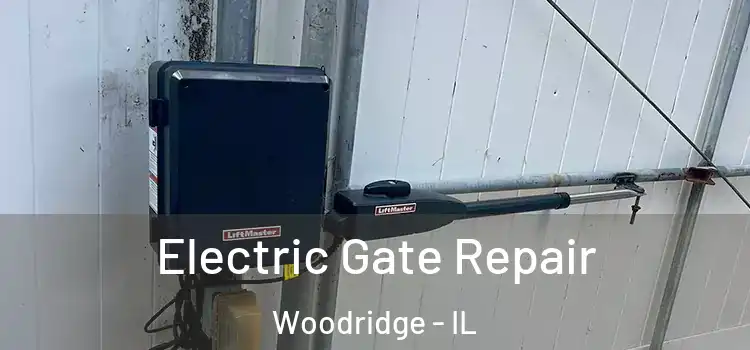  Electric Gate Repair Woodridge - IL