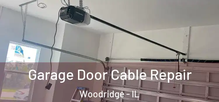  Garage Door Cable Repair Woodridge - IL