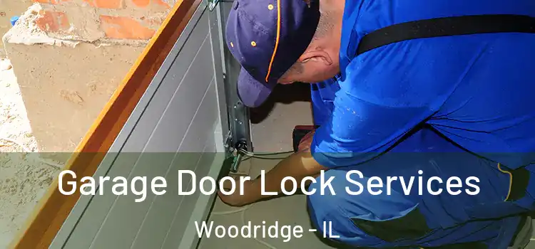Garage Door Lock Services Woodridge - IL