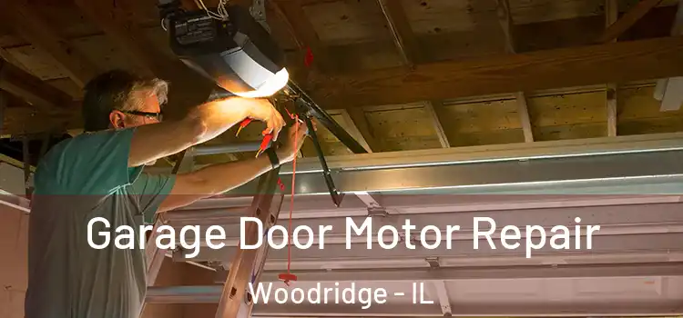  Garage Door Motor Repair Woodridge - IL