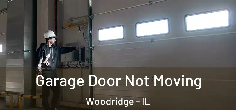  Garage Door Not Moving Woodridge - IL
