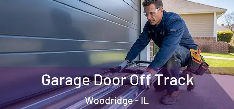  Garage Door Off Track Woodridge - IL