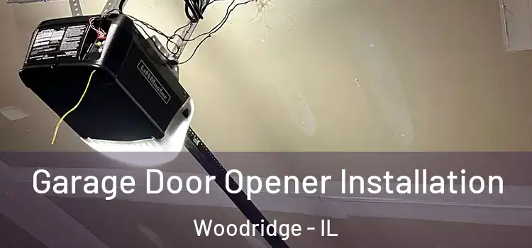  Garage Door Opener Installation Woodridge - IL