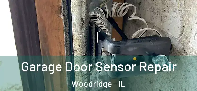 Garage Door Sensor Repair Woodridge - IL
