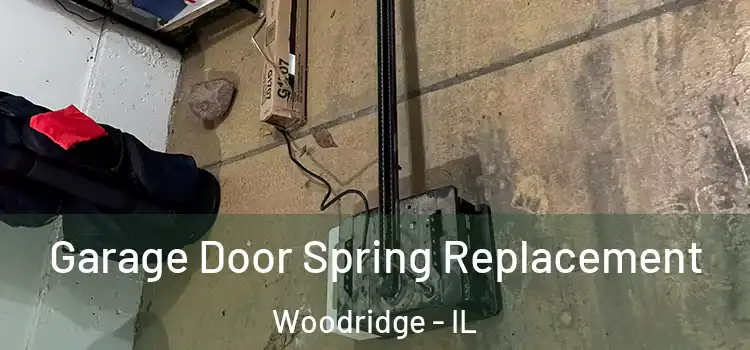  Garage Door Spring Replacement Woodridge - IL