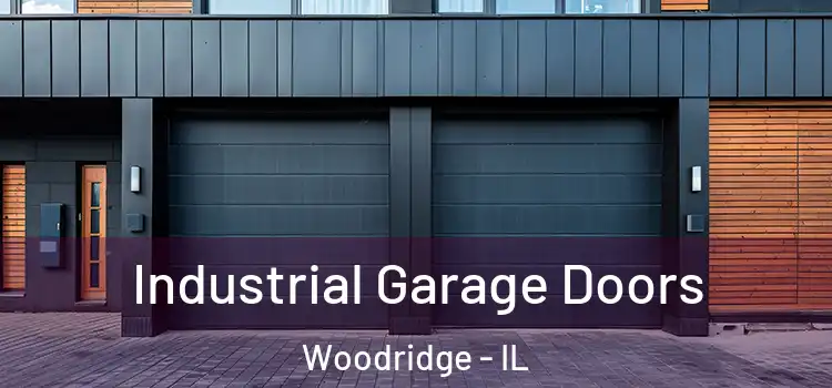  Industrial Garage Doors Woodridge - IL