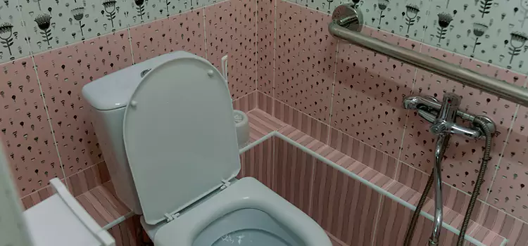 Meeting Diverse Needs With Accessible Restroom Solutions in Woodridge, IL