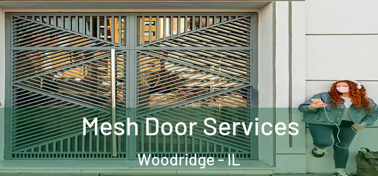 Mesh Door Services Woodridge - IL