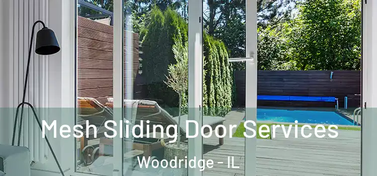 Mesh Sliding Door Services Woodridge - IL
