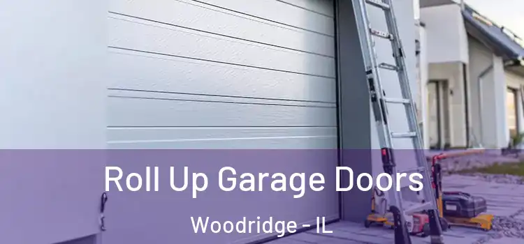  Roll Up Garage Doors Woodridge - IL