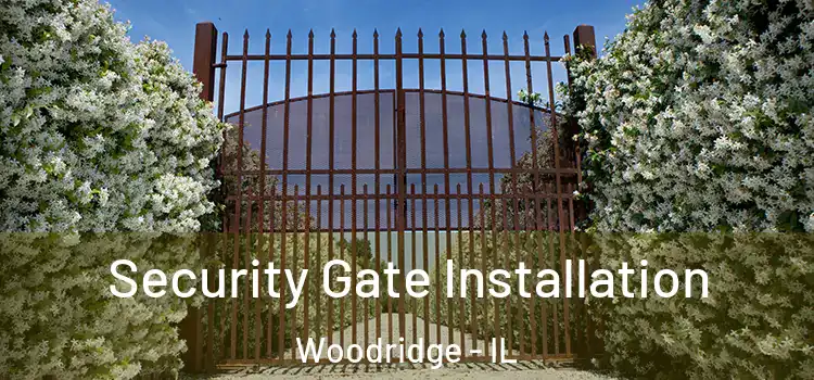 Security Gate Installation Woodridge - IL