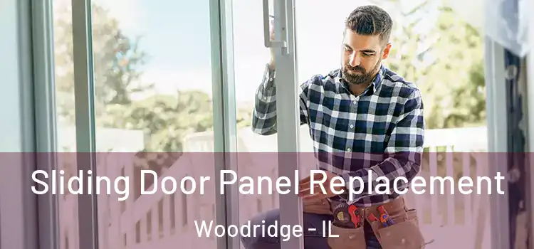  Sliding Door Panel Replacement Woodridge - IL