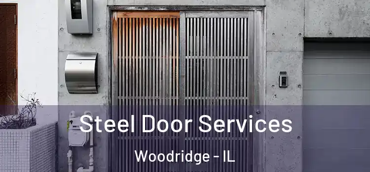  Steel Door Services Woodridge - IL