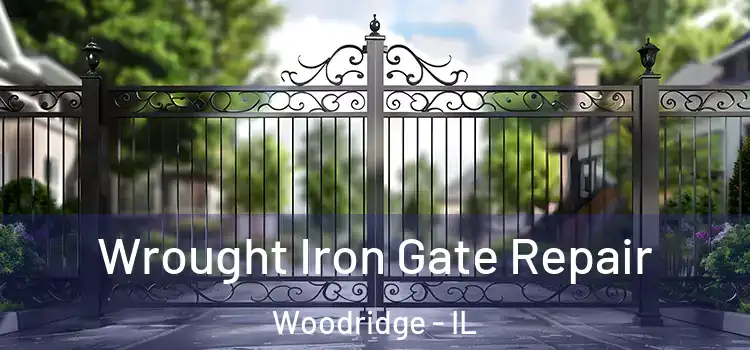 Wrought Iron Gate Repair Woodridge - IL